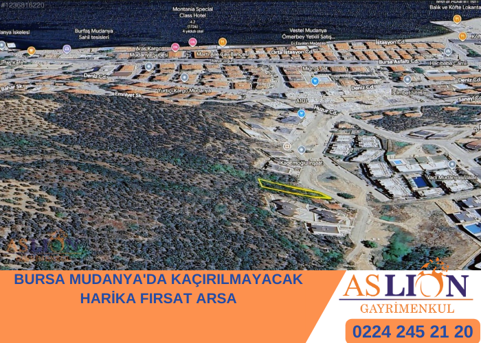 BURSA MUDANYA'DA KAÇIRILMAYACAK HARİKA FIRSAT ARSA